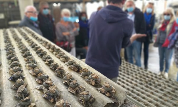 VISITE AUTOUR DE LA LAGUNE EN MINI-BUS AVEC SÈTE GRAND TOUR