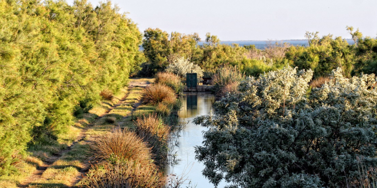 Découverte de la Camargue depuis Port-Saint-Louis-du-Rhône