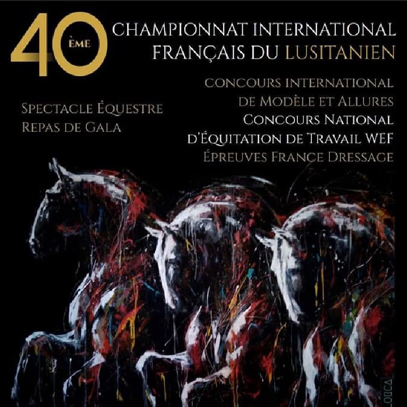 40ème Championnat International Français du Lusitanien