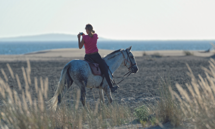 Au galop