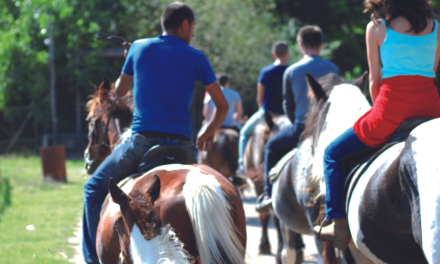 Initiation à l’équitation