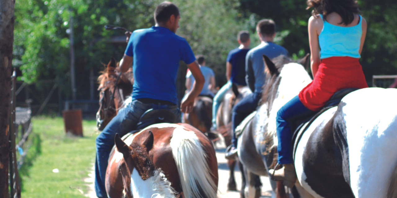 Initiation à l’équitation