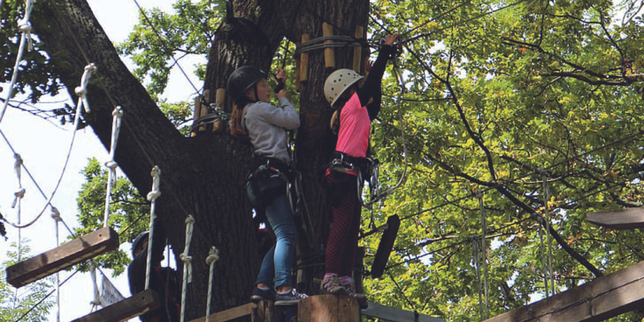 Accrobranche à Fécamp