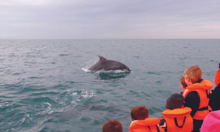 Les princes de la Manche