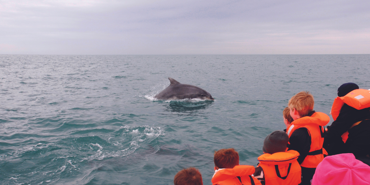 Les princes de la Manche