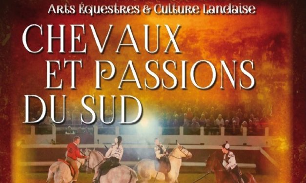 SPECTACLE EQUESTRE ET LANDAIS