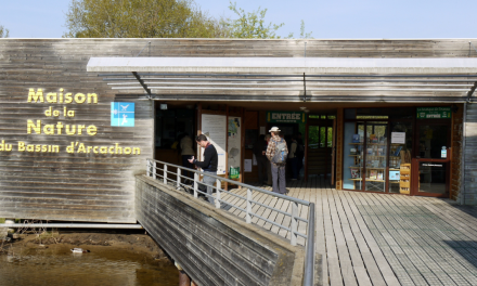 Excursion en canoë à Le Teich