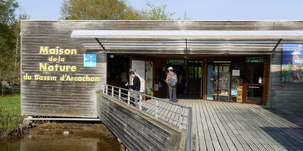 Excursion en canoë à Le Teich