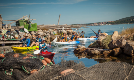 Balade en kayak