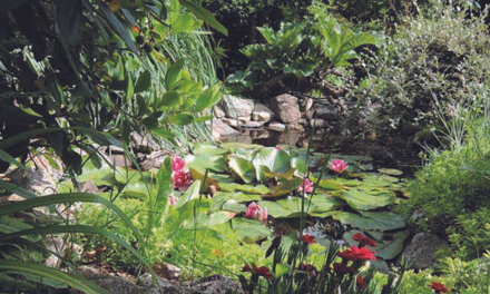 Le Tropicarium de la Baule