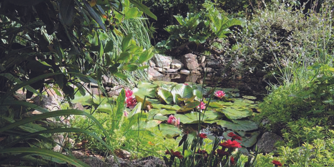 Le Tropicarium de la Baule