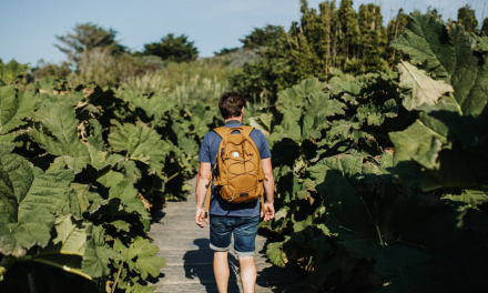 Promenade à l’oasis du Cotentin