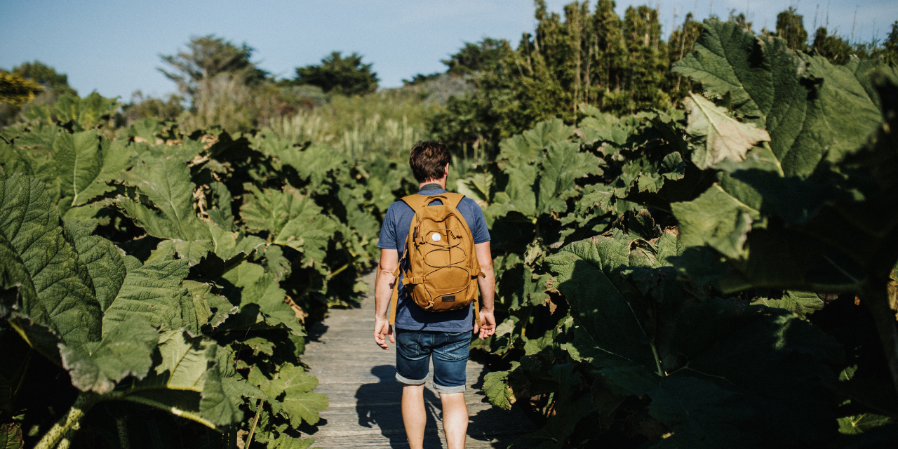 Promenade à l’oasis du Cotentin