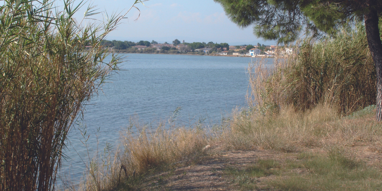 Randonnée le chemin du cabanier