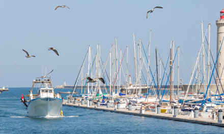 L’histoire du port de Sète