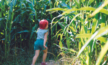 Parc Labyrinthes en Délire à Talmont-Saint-Hilaire