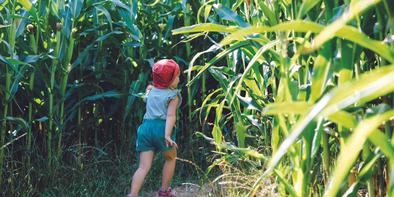 Parc Labyrinthes en Délire à Talmont-Saint-Hilaire