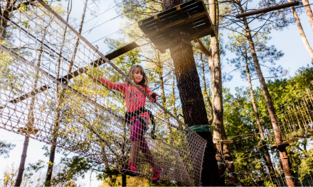 Bayeux Aventure, le parc de tous les possibles !