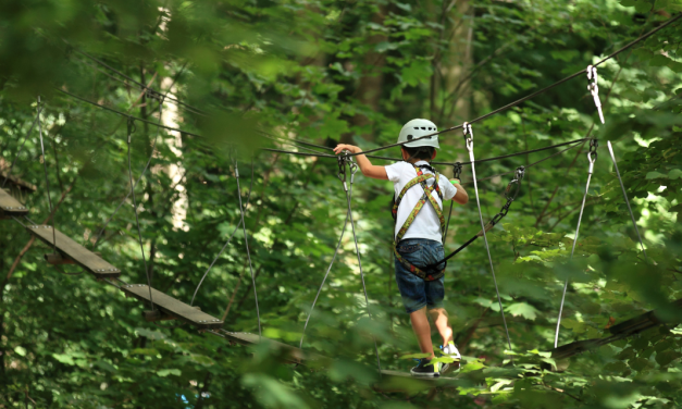 Mille activités au Bisca’Aventure