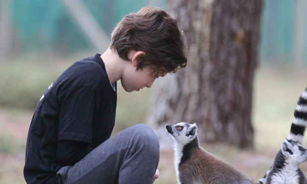 Rencontre animale au Zoo de Labenne