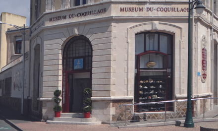 Le musée du Coquillage des Sables-d’Olonne