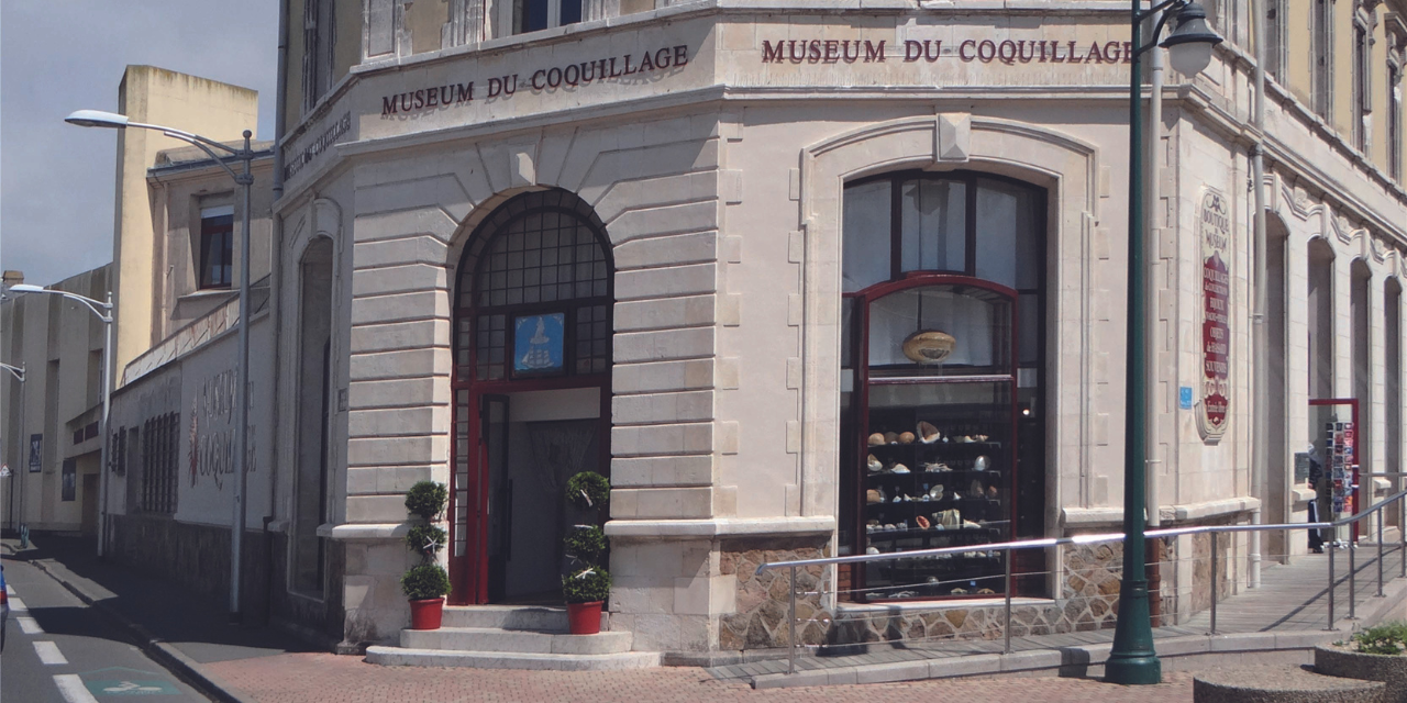 Le musée du Coquillage des Sables-d’Olonne