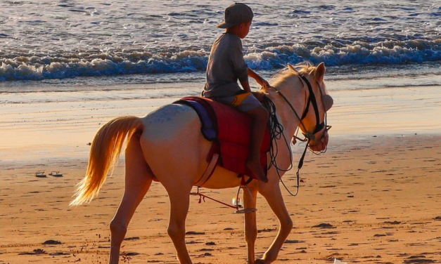 Jolie balade à cheval à Messanges