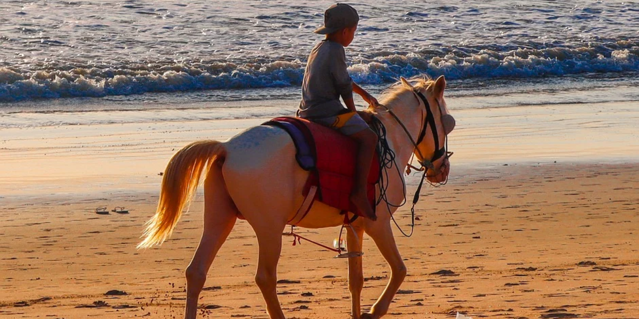 Jolie balade à cheval à Messanges