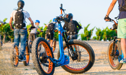 Balade en trottinette à assistance électrique : entre garrigue et étang