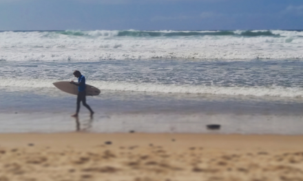 L’histoire du Surf en France