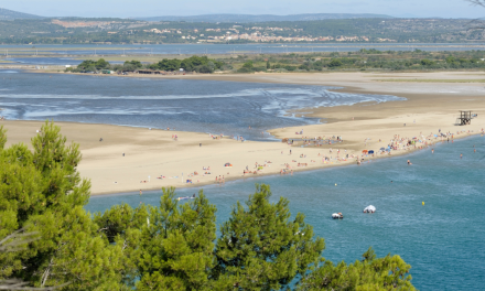 L’étang de la Palme