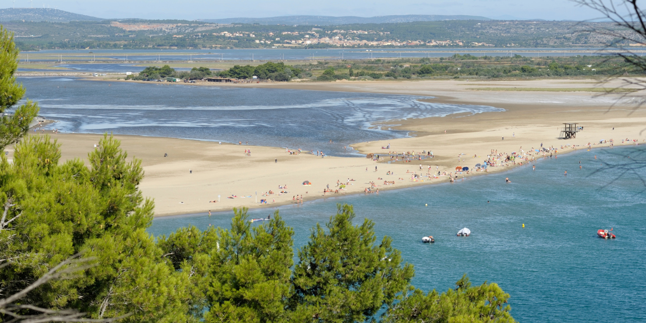 L’étang de la Palme