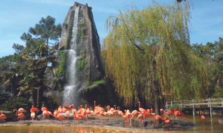 Balade au zoo de La Palmyre