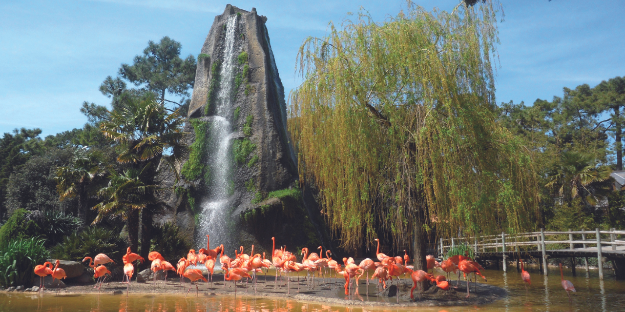 Balade au zoo de La Palmyre