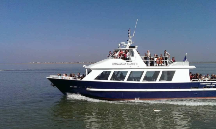 Balade en bateau pour découvrir la Baie de Somme