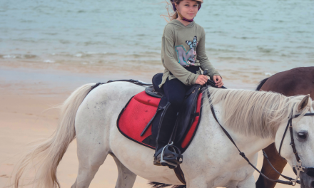 Balade à cheval à Mers-les-Bains