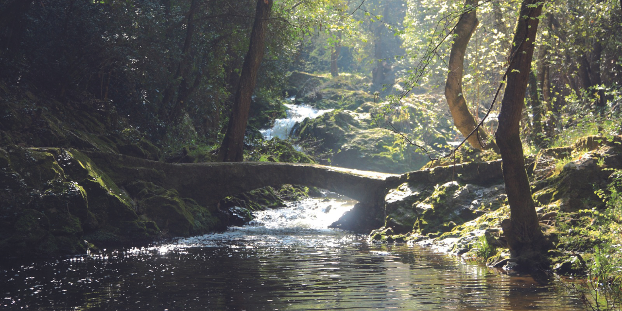 Parc de la Brague : la forêt enchantée