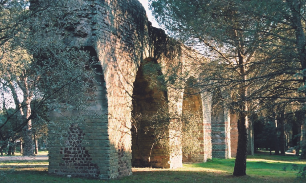 Forum Julii, la Pompéi provençale