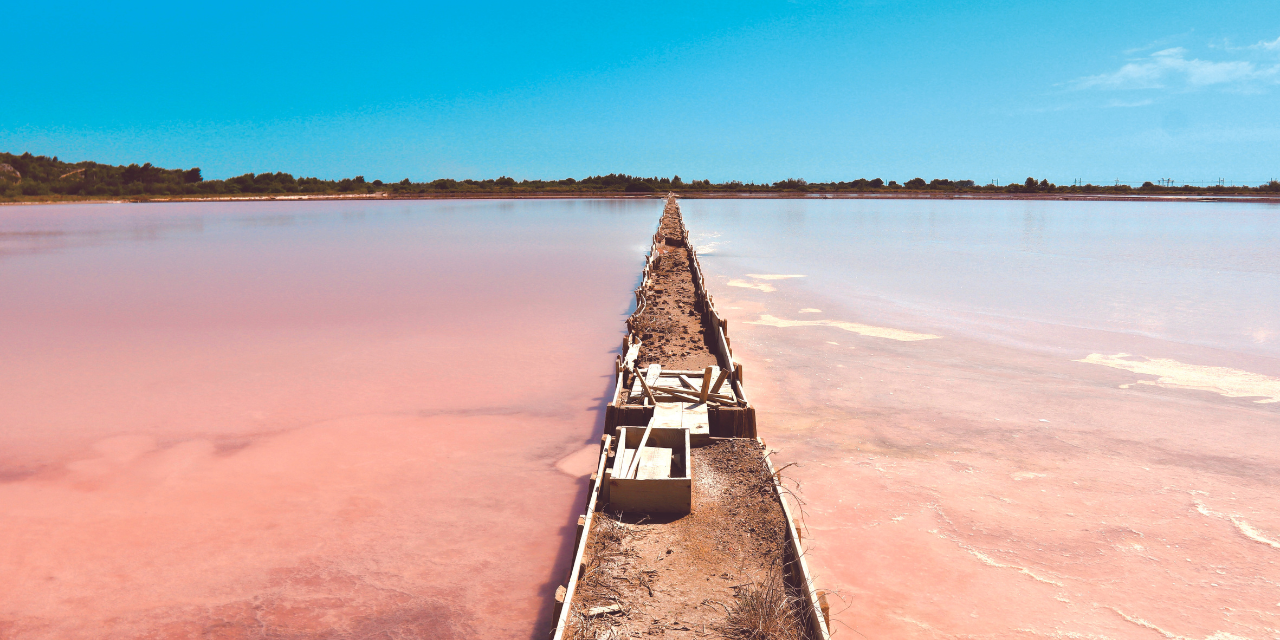 Le salin de La Palme, site exceptionnel