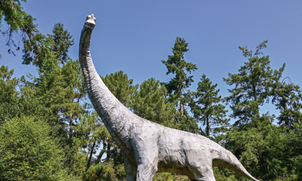 Retour dans le passé au parc de la Préhistoire