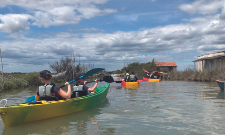 Éco-circuits en kayak à Mauguio-Carnon