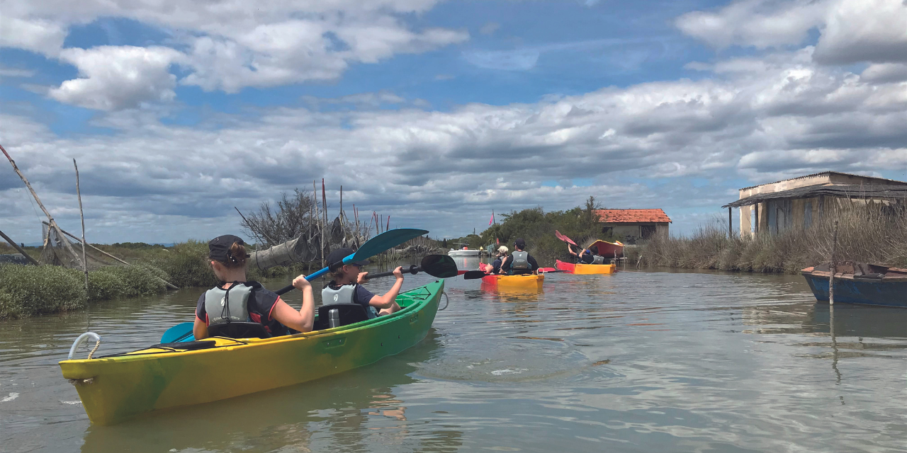 Éco-circuits en kayak à Mauguio-Carnon