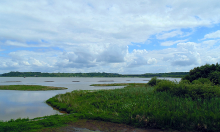 La Réserve Naturelle Nationale du Marais d’Orx