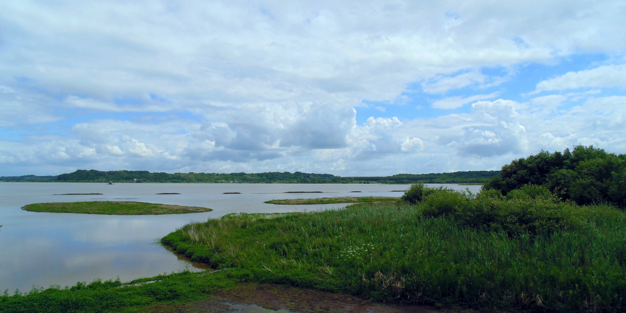 La Réserve Naturelle Nationale du Marais d’Orx