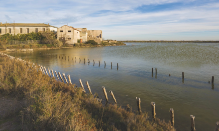 Les anciens salins de Frontignan