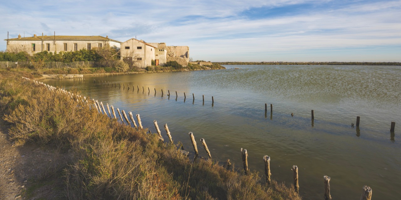 Les anciens salins de Frontignan