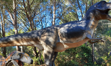 Retour dans le passé au Musée-parc des dinosaures de Mèze