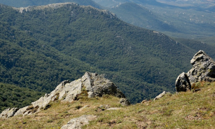 Le Massif des Albères, son patrimoine naturel remarquable