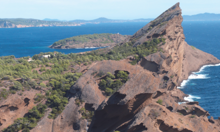 L’île Verte à La Ciotat : petit paradis paisible