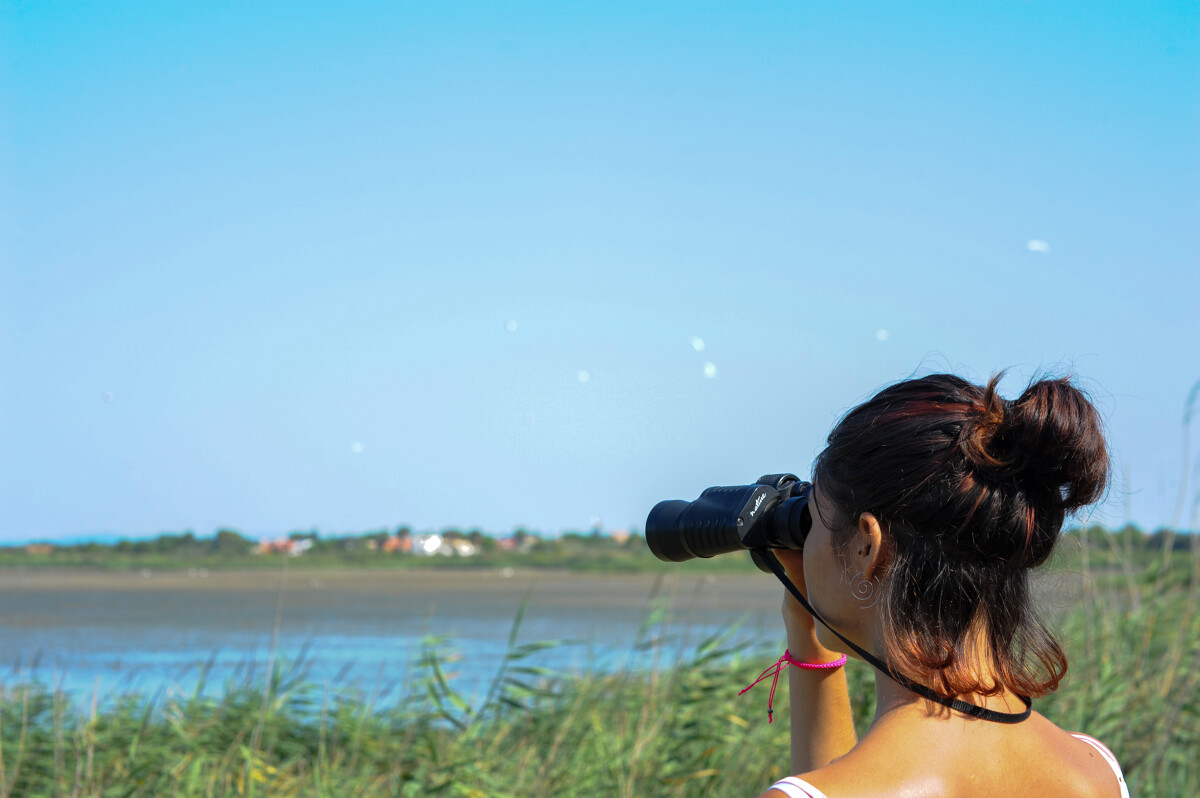 BALADE : LA DÉCOUVERTE DES OISEAUX DU BAGNAS